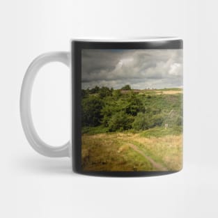 Abandoned Farm in Woodland - Baglan/ Briton Ferry - 2013 Mug